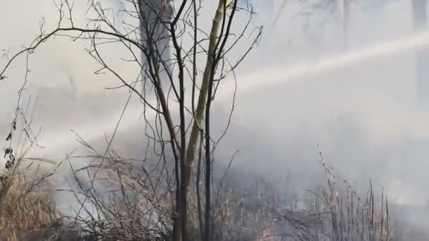 Feuerwehrmann bekämpft Buschfeuer — Stockvideo