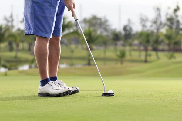 Golf player putting on the green — Stock Photo, Image