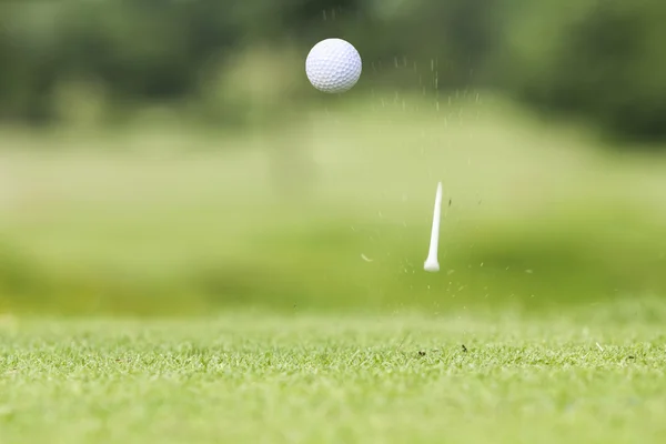 Golf ball just coming off the tee after hit by driver — Stock Photo, Image