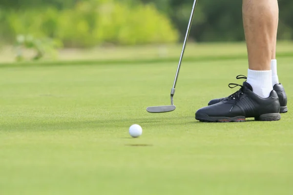 Golf man putting on green Royalty Free Stock Images