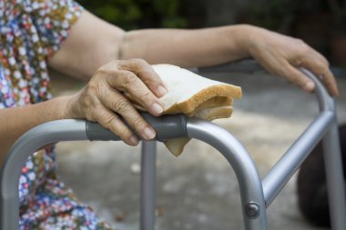 elderly woman holding a slice of bread for dogs clipart