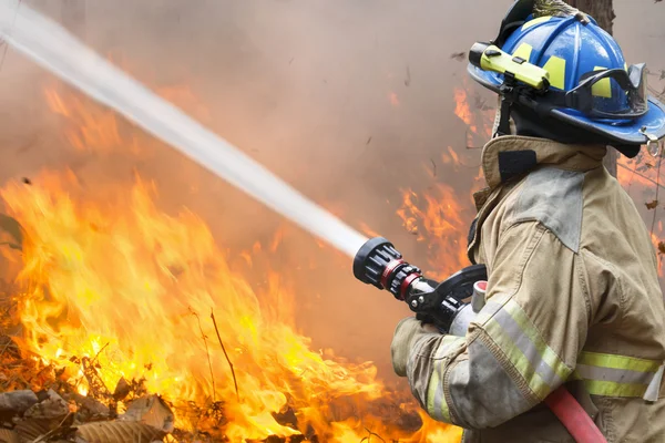 Les pompiers combattent un feu de forêt — Photo