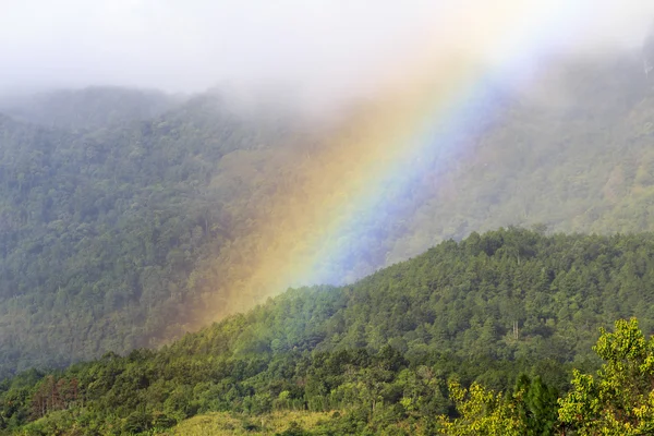 Real rainbow — Stock Photo, Image