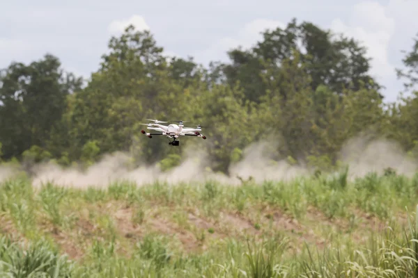 Onderzoek drone vliegen over jonge suikerriet veld — Stockfoto