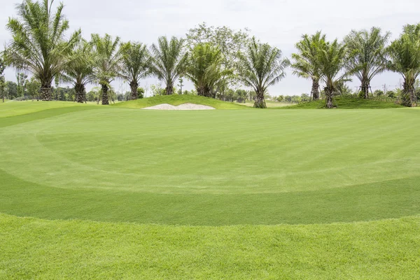 Golfplätze, grünes Gras — Stockfoto