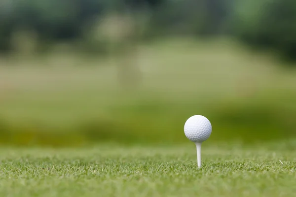 Pallina da golf su un tee — Foto Stock
