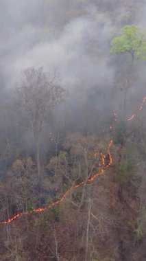 Vahşi yangınlar, iklim değişikliğine katkıda bulunan karbondioksit (CO2) emisyonları ve diğer sera gazlarını (GHG) serbest bırakır..