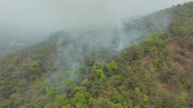 Tropikal orman yangınları iklim değişikliğine katkıda bulunan karbondioksit (CO2) emisyonları ve diğer sera gazları (GHG) salar.