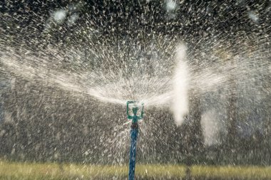 Parktaki yemyeşil çimlere fıskiyeler serpiştiriyor..