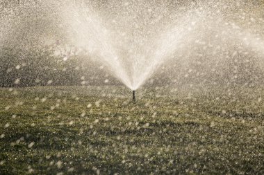 Parkta çim sulama yağmurlama kafa.