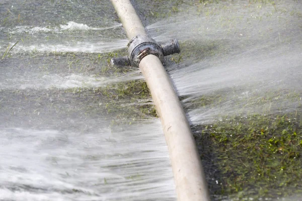 Verspilling van water - water lekken uit gat in een slang — Stockfoto