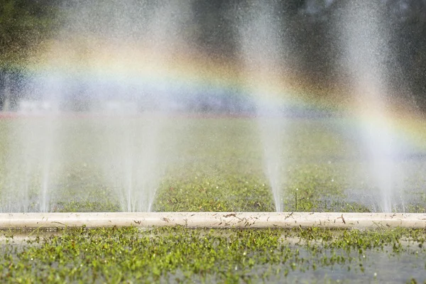 無駄に水のホースの穴からの水漏れ — ストック写真