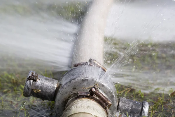 What to Do When a Pipe Bursts