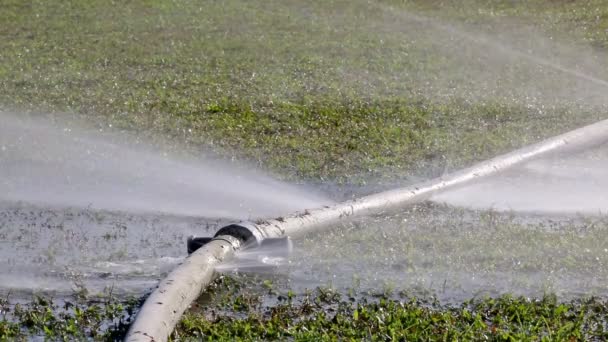 Water leaking from hole in a hose — Stock Video