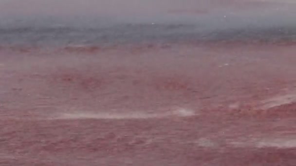 Fugas de agua del agujero en una manguera — Vídeos de Stock