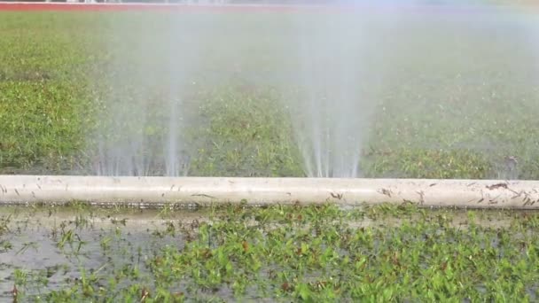 Water lekken uit gat in een slang — Stockvideo