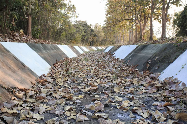 Canal de riego seco con montón de hojas secas —  Fotos de Stock