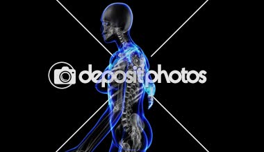 Kadın iskelet geçiş