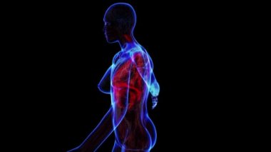 Kadın iskelet geçiş