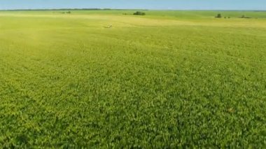 Yeşil alan çalışmalarına biçerdöver