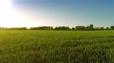 Akşam büyük yeşil alan üzerinde kalkış