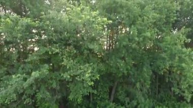 Alanları üzerinde uçan