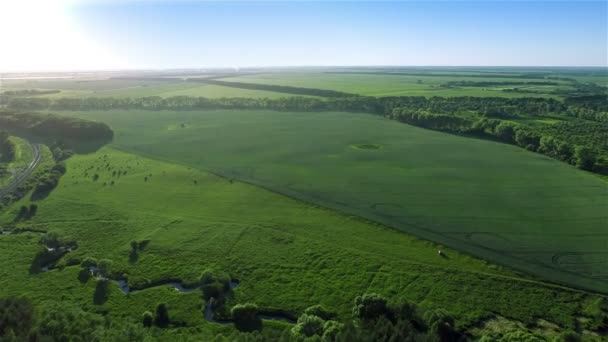 Latające nad polami — Wideo stockowe