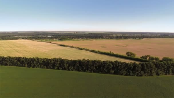 Sobrevoando campos — Vídeo de Stock