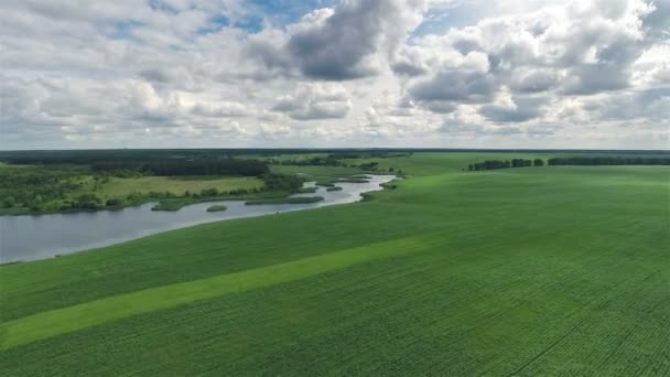 Volando sobre el campo verde y el río — Vídeos de Stock