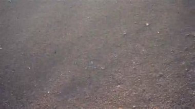 Yumuşak dalgalar kumsalda