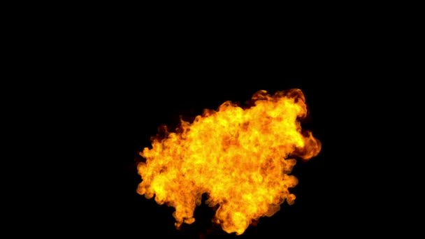 Slow Motion Shot Of Fire with Matte — Stock Video