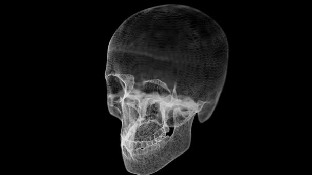 Grid of Human Skull — Stock Video