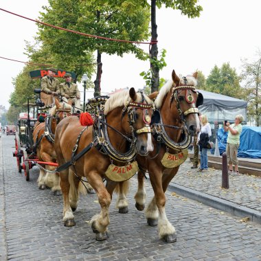 Belçika birası hafta sonu