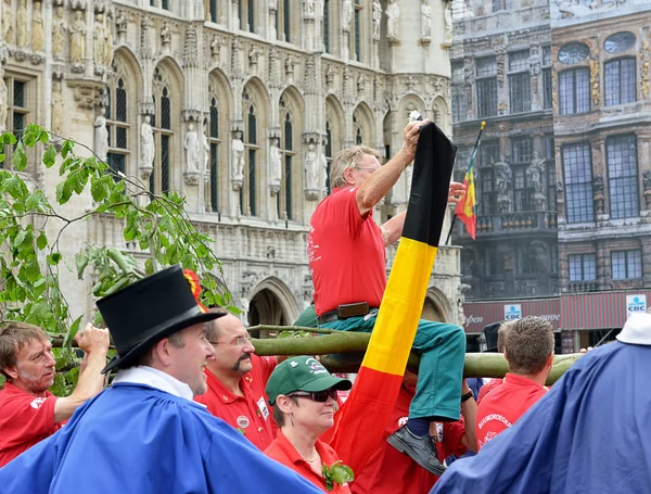 Ceremony of Plantation of Meyboom, Brussels, Belgium — Stock Photo, Image