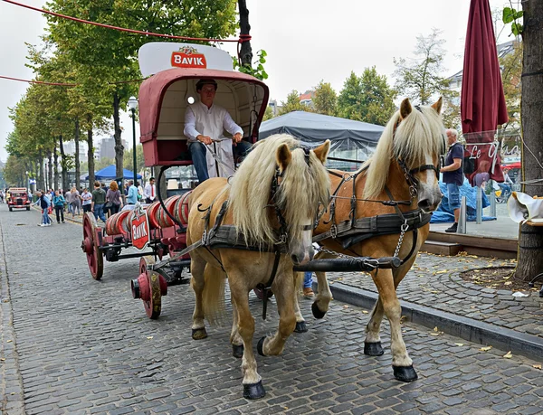 Belgiske øl weekend 2014 - Stock-foto