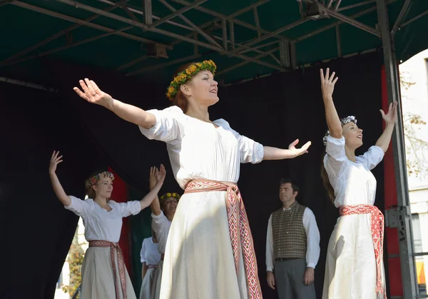 Brussels Latvian Dancers — Stock Photo, Image