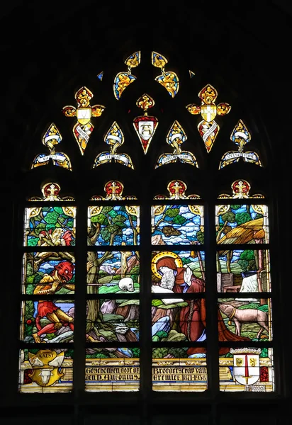 Blyinfattade fönster i Collegiate Church Saint-Martin i Alost, Belgien — Stockfoto