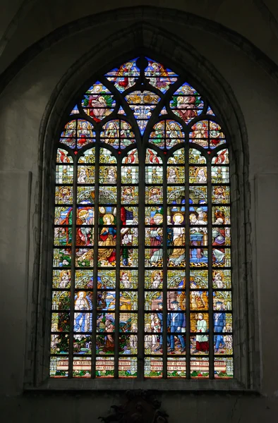 Janela de vidro manchado em Collegiate Church Saint-Martin em Alost, Bélgica — Fotografia de Stock