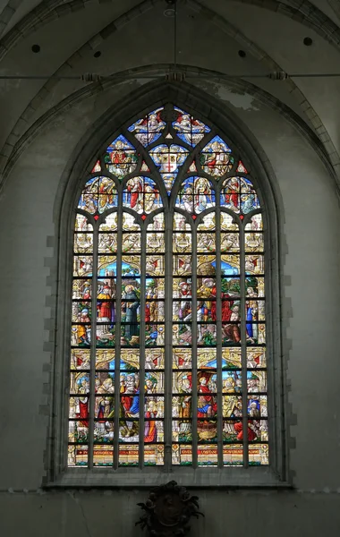 Janela de vidro manchado em Collegiate Church Saint-Martin em Aalst, Bélgica — Fotografia de Stock