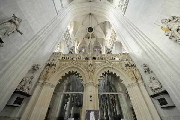 Interieur van St.-Romboutskathedraal. Mechelen, België — Stockfoto