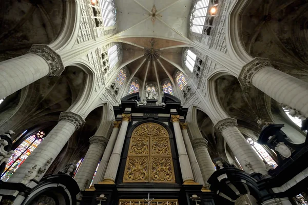 Wnętrze Katedra św. Mechelen, Belgia — Zdjęcie stockowe