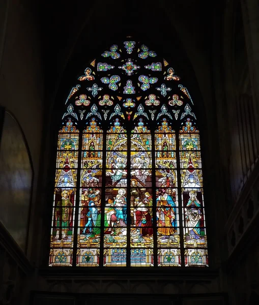 Vitray pencere iç St. Rumbold'ın Cathedral.Mechelen, Belçika — Stok fotoğraf