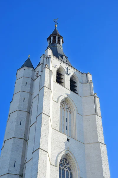 Gotycki kościół Onze-Lieve-Vrouw-over-de-Dijlekerk w Mechelen, Belgia — Zdjęcie stockowe