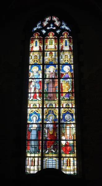 Collegiate Saint-Ursmer Kilisesi Binche, Belçika — Stok fotoğraf