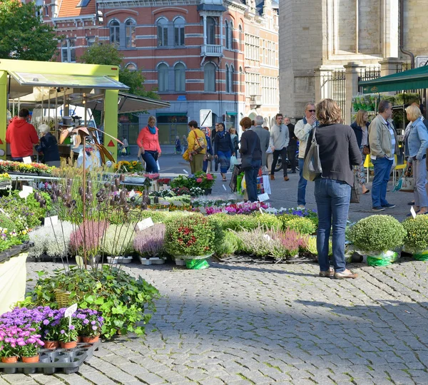 Traditional open air market in historical center of the city — Stock Photo, Image