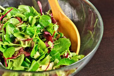 Farklı salata genç yaprakları hazırlanan salata