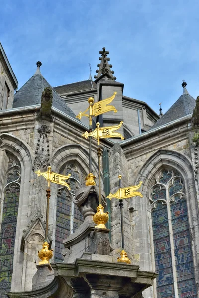 Fontána postavená v roce 1779 na přední části kolegiátního kostela Saint-Waudru Mons, Belgie — Stock fotografie