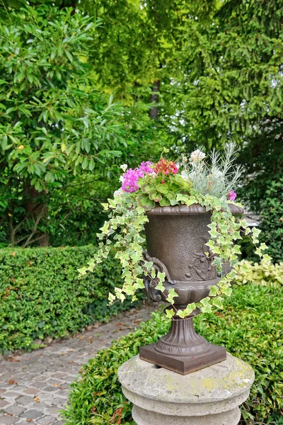 Vaso con fiori — Foto Stock