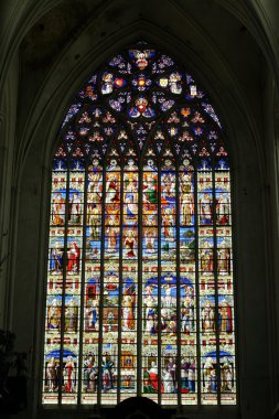 St. Rumbolds Cathedral Mechelen civarındaki vitray pencereler.
