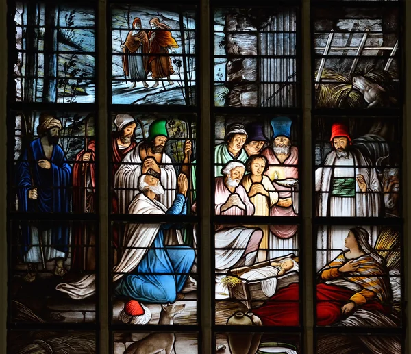 Stained glass windows in Grote Kerk Den Haag or Grote of Sint-Jacobskerk built during15-16 centuries. — Stock fotografie